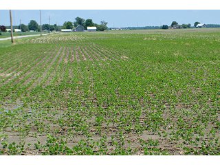 Property photo 24 - LAND AUCTION - 700+/- ACRES OFFERED IN 16 TRACTS IN ALLEN COUNTY, INDIANA